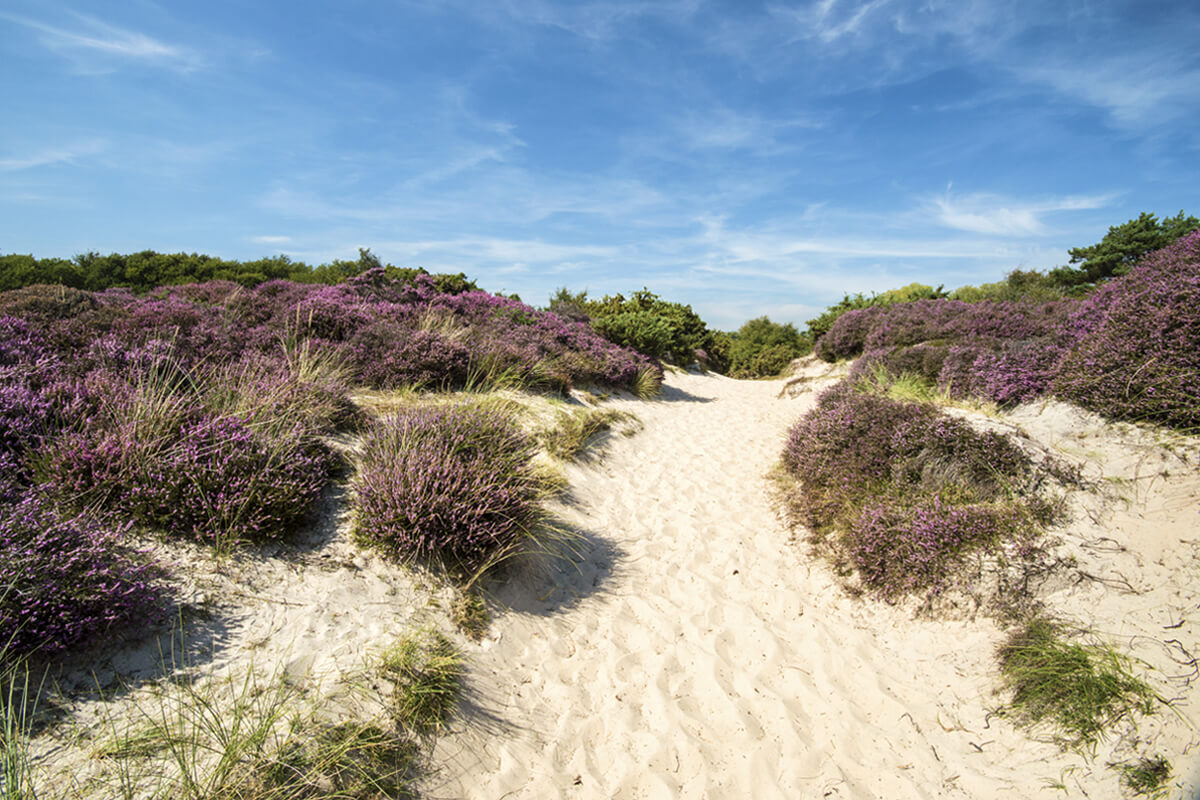 Swanage 1200x800